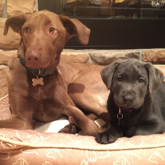 Meet your Posher, Erin - Picture 1 of 1